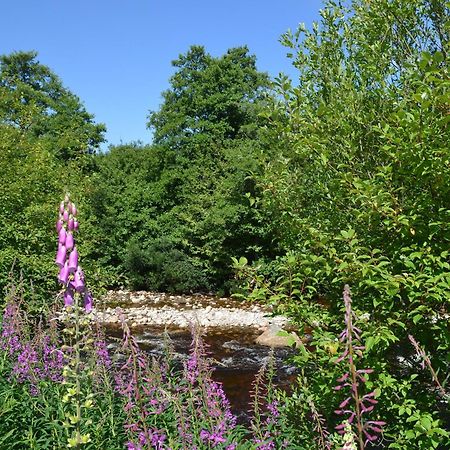 Battanropie Lodge Carrbridge Dış mekan fotoğraf