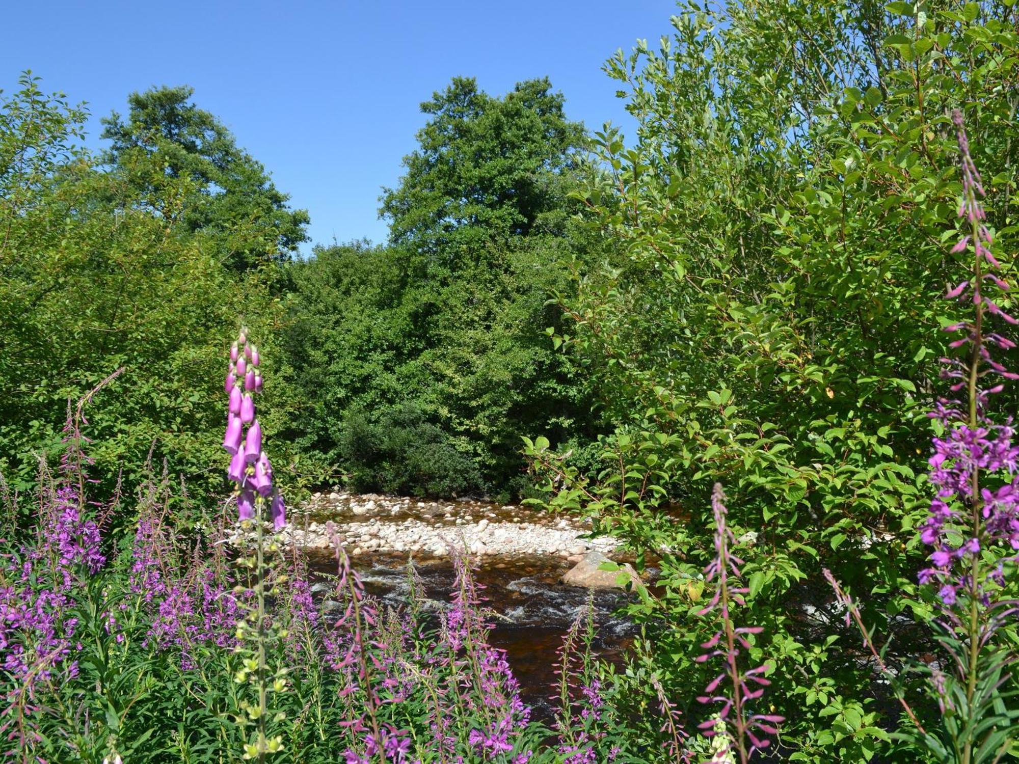 Battanropie Lodge Carrbridge Dış mekan fotoğraf